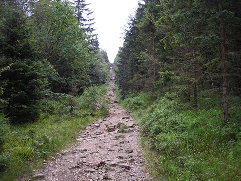 Foto 141